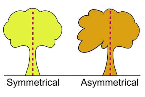 what is asymmetry in art and how does it reflect our perception of beauty?