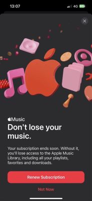 why does apple music sound low? here we explore the nuances of audio quality and how it might vary across different platforms.